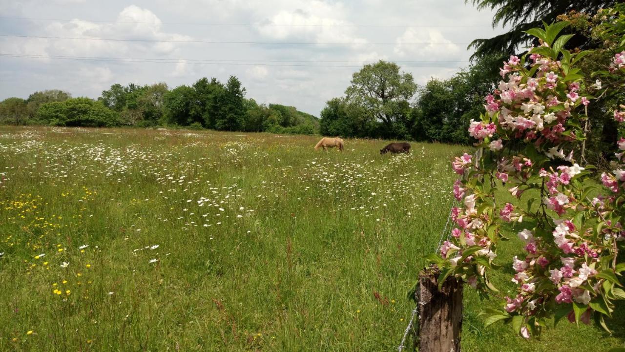Le Moulin De La Retardiere Orvault Eksteriør billede