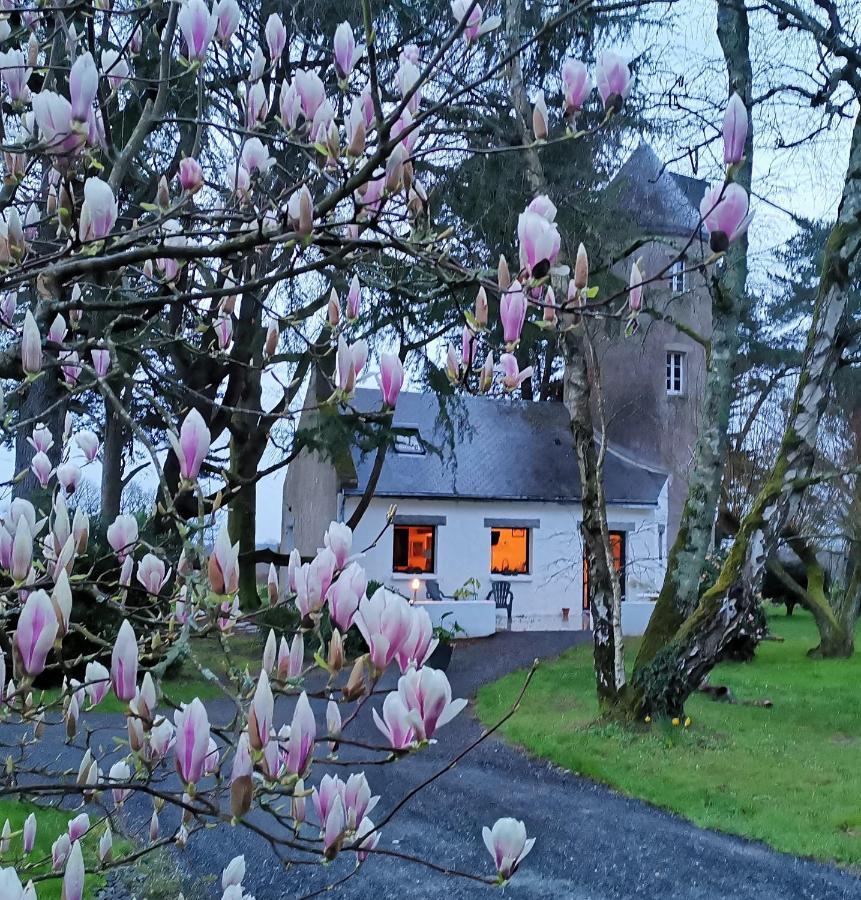 Le Moulin De La Retardiere Orvault Eksteriør billede