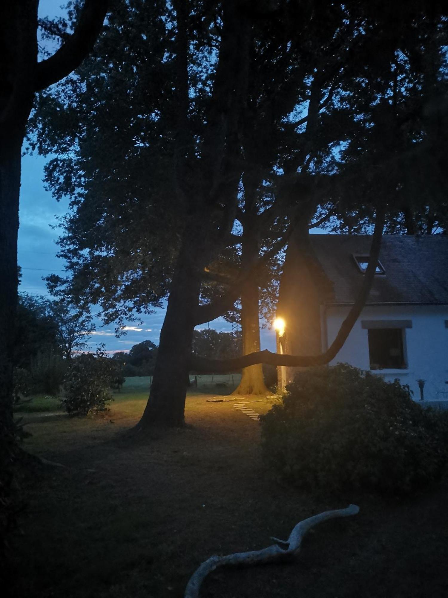 Le Moulin De La Retardiere Orvault Eksteriør billede