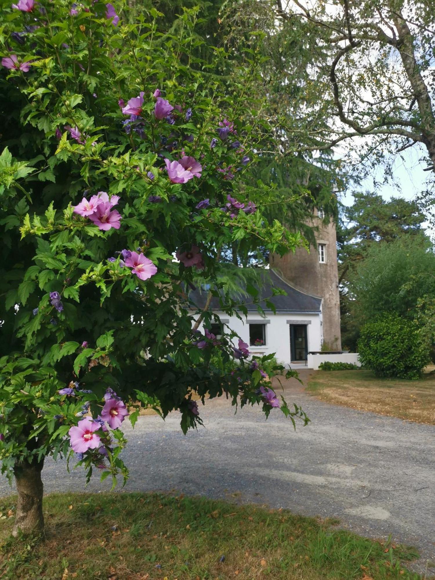 Le Moulin De La Retardiere Orvault Eksteriør billede