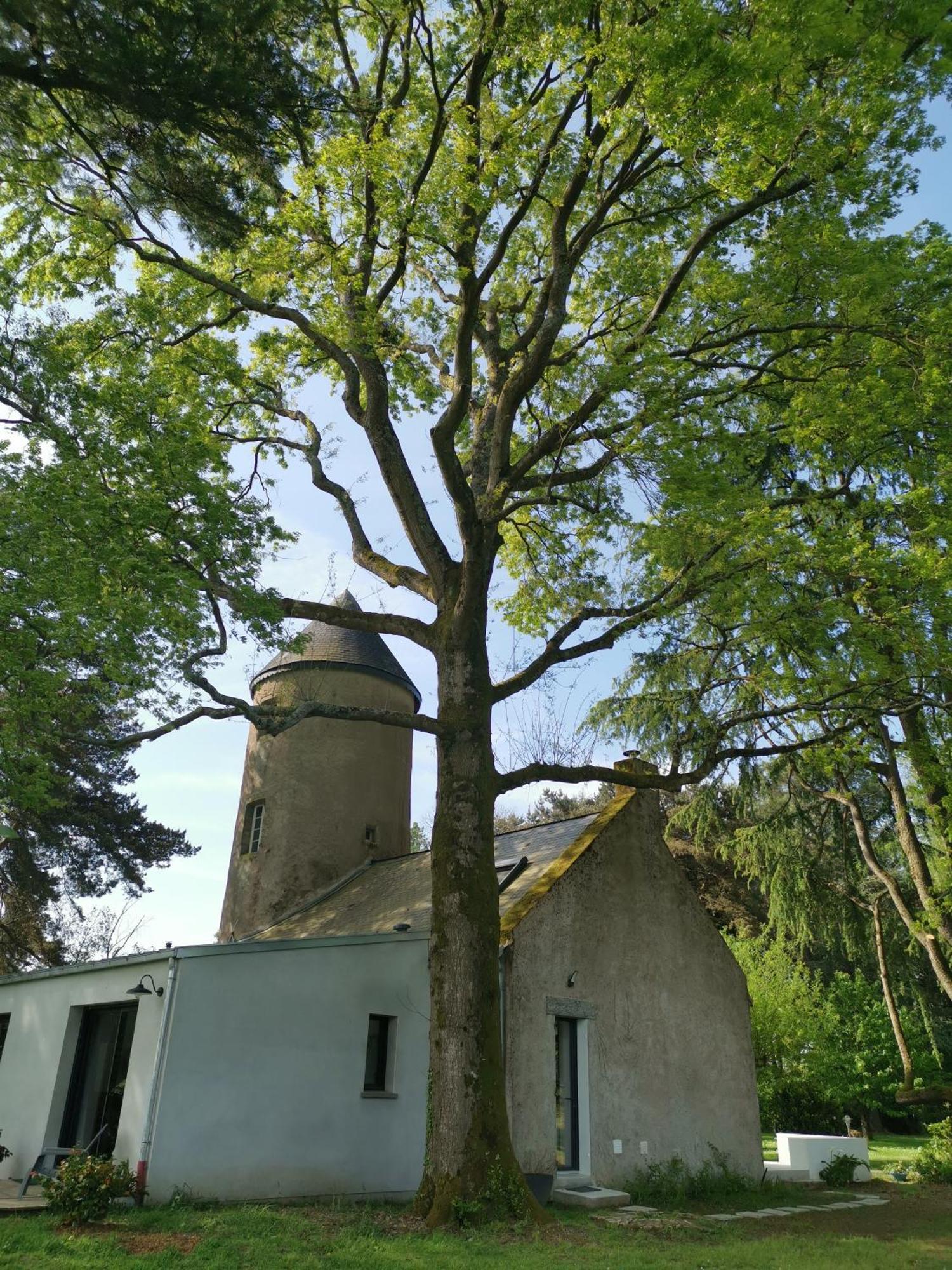 Le Moulin De La Retardiere Orvault Eksteriør billede